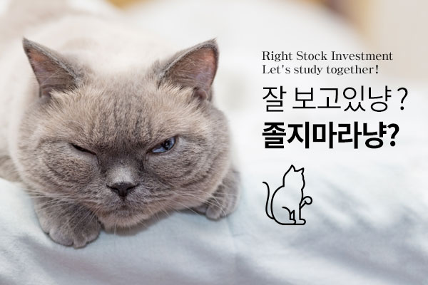 주식공부 졸지마라
